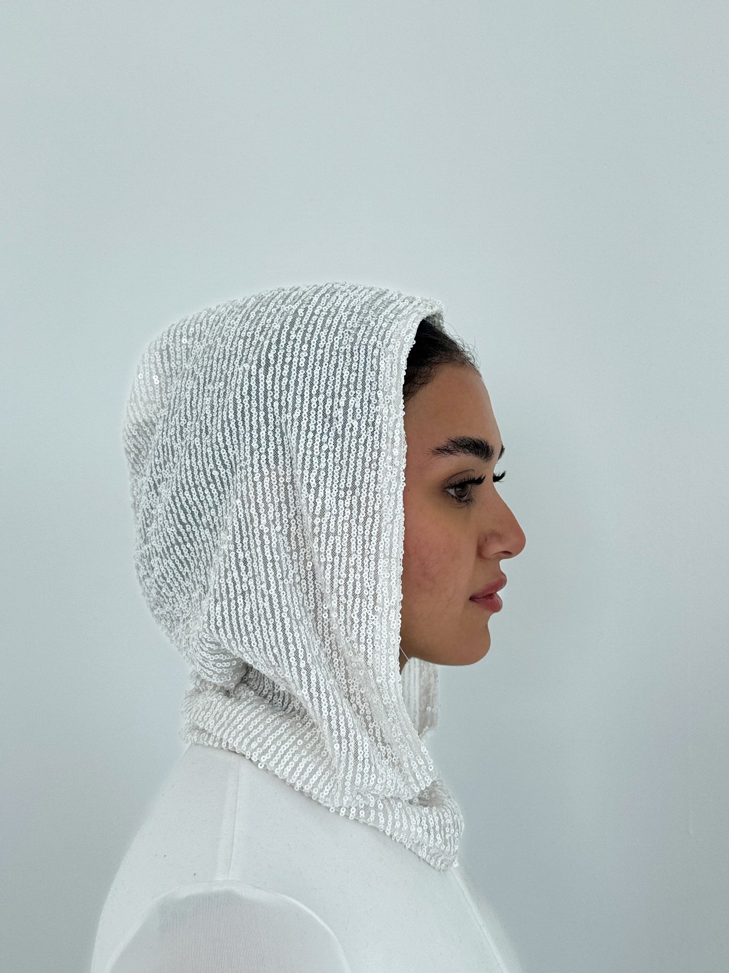 Snow Hood