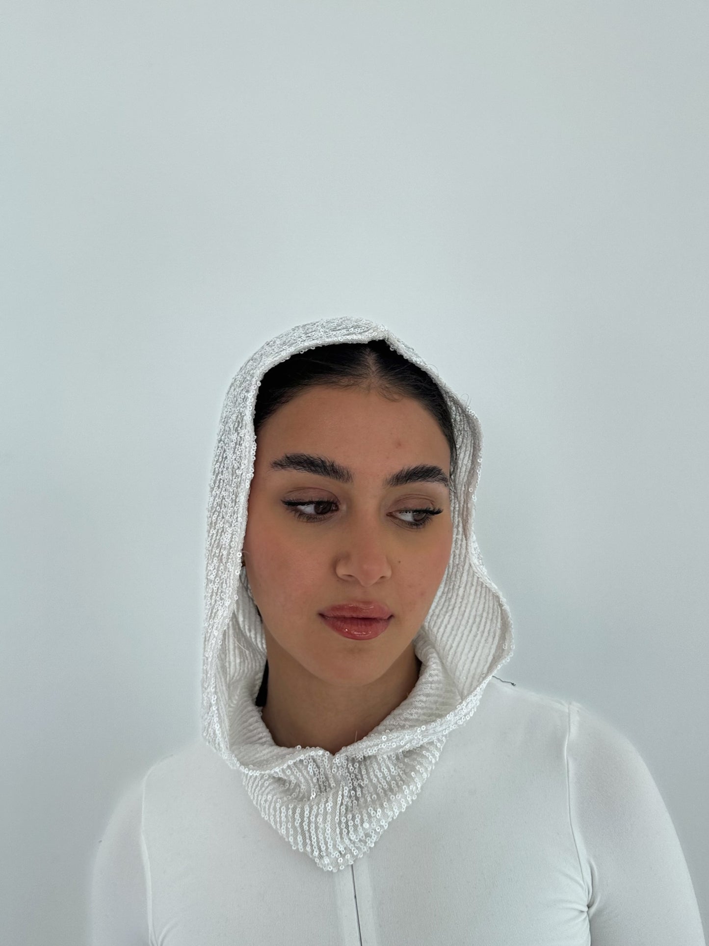 Snow Hood