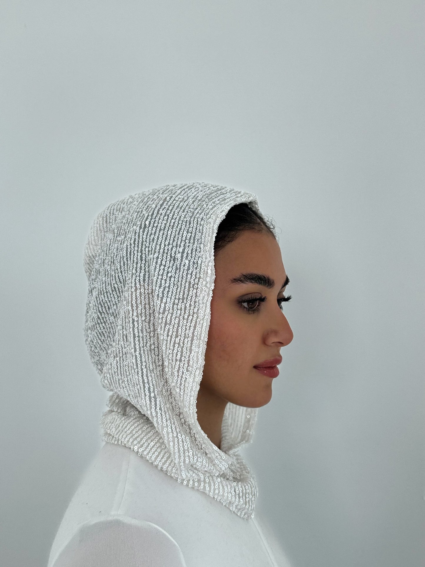 Snow Hood